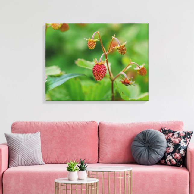 Odling av rött trädsjordgubbar i ett trädgårdsfoto canvastryck (Insitu (Vardagsrum))