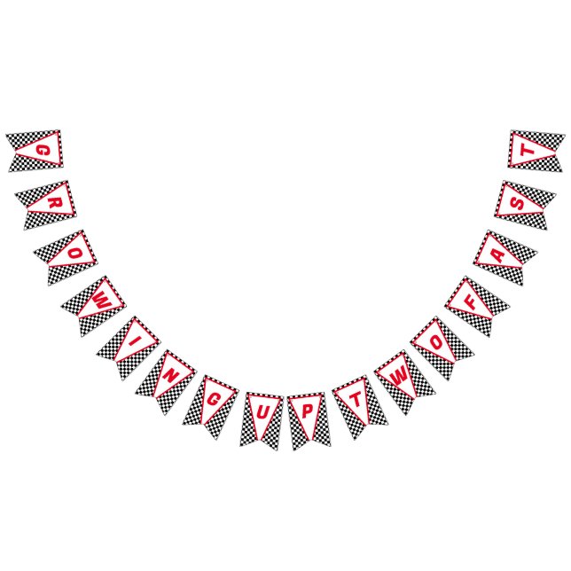 Odling av två snabbgående bilstolar i Tävling 2:a  Vimplar (Alla)