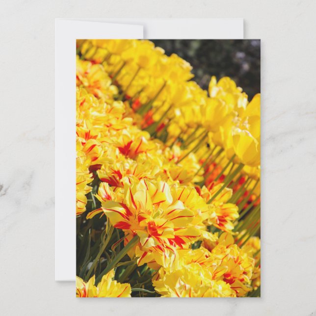 Odling i Guld Inbjudningar (Framsida)