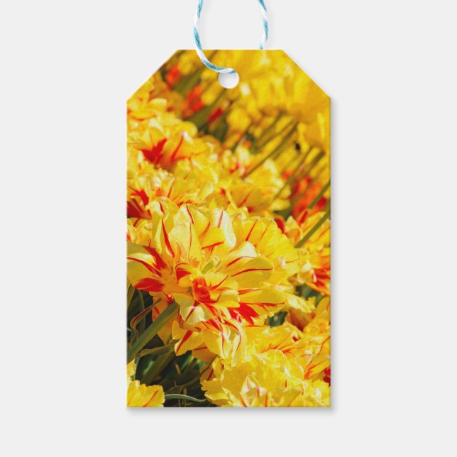 Odling i Guld Presentetikett (Framsidan)