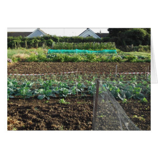 Odlingslott OBS Kort