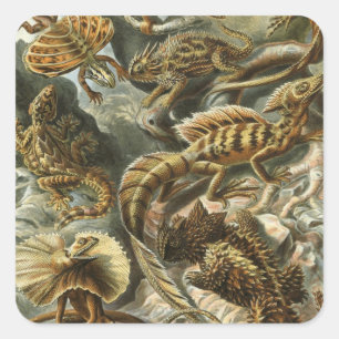 Ödlor av Ernst Haeckel Vintage Lacertilia Djur Fyrkantigt Klistermärke