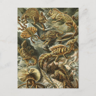 Ödlor av Ernst Haeckel Vintage Lacertilia Djur Vykort