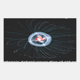 Odödliga jellyfish Rectangle Stickers Rektangulärt Klistermärke