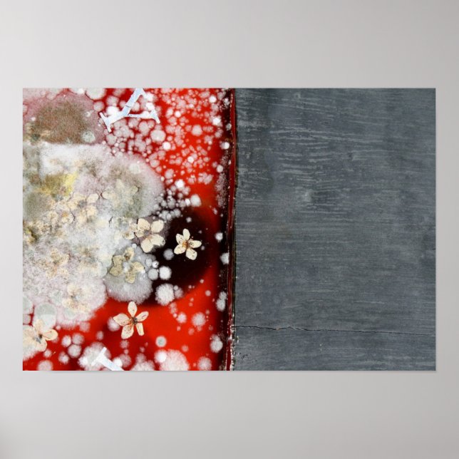 Odödlighet 2 poster (Framsidan)