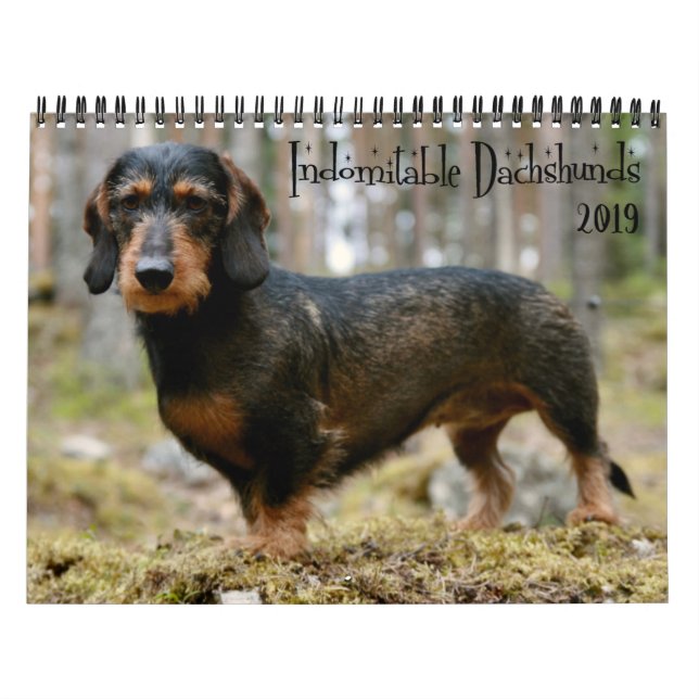 Odomlig Anpassningsbar för Dachshunds Kalender (Omslag)