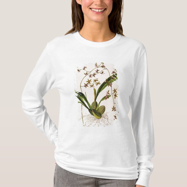 Odontoglossum Hastatum T-shirt (Framsida)