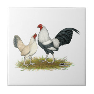 OE-lekblått försilvrar Wheaten Kakelplatta