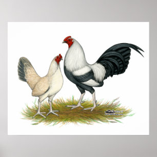 OE-lekblått försilvrar Wheaten Poster