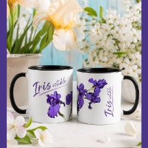 Oemotståndlig Iris-mugg