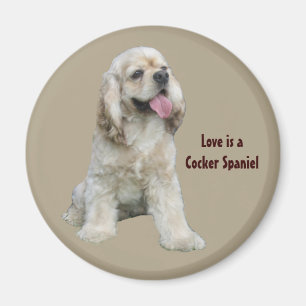 Oemotståndlig magnet för cockerspanielSpaniel