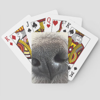 Oemotståndliga Valpnosar Spelekort Casinokort