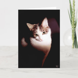 Oemotståndligt Kort