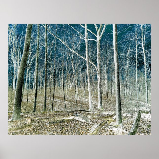 Off the Path version 1 Poster (Framsidan)