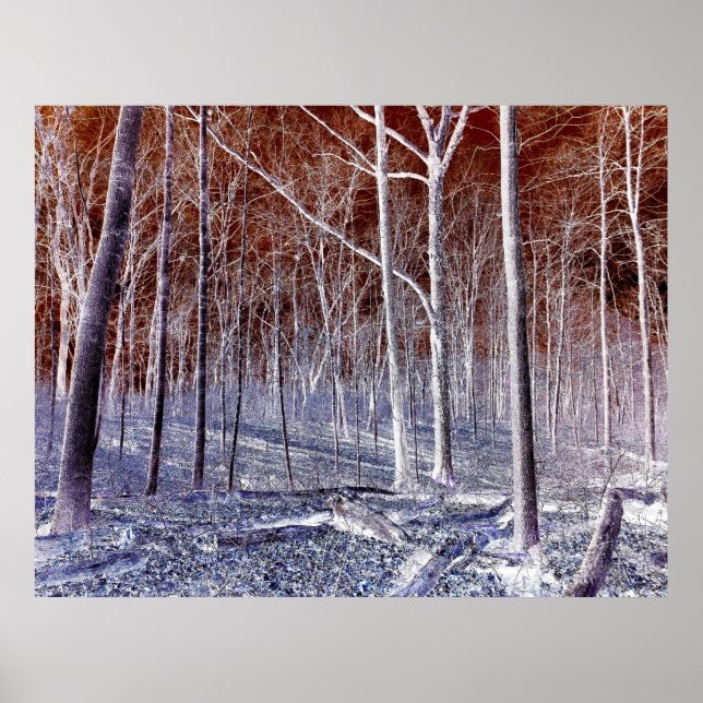 Off the Path version 2 Poster (Framsidan)