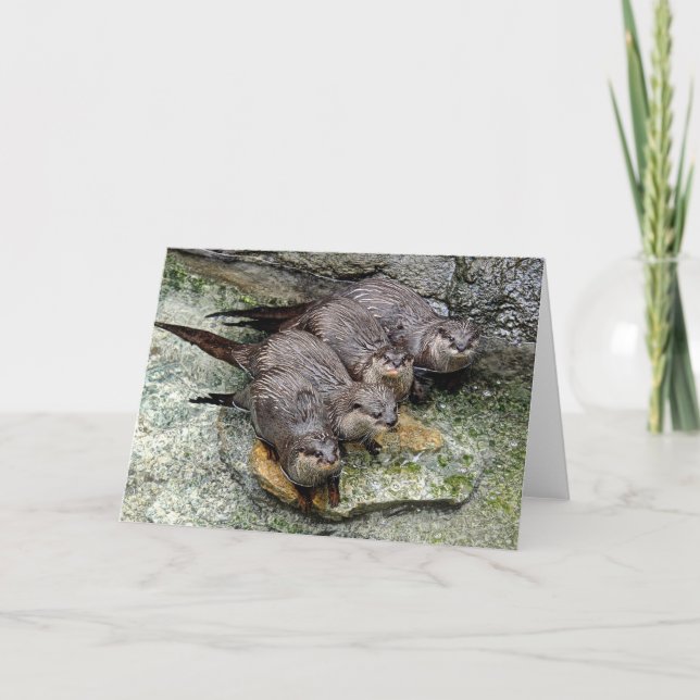 Offer 4 i rad i ett hälsningskort kort (Framsida)