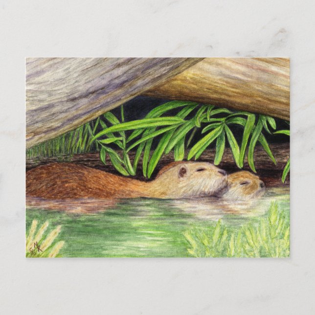 Offer Flyter Wildlife Art Vykort (Framsida)