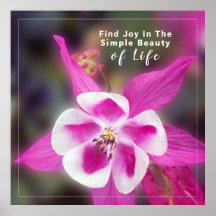 Offert med kolumbine-foto