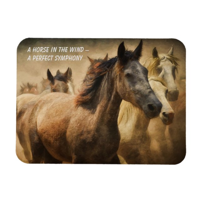 Offert om hässkrapor, magnet (Horisontell)