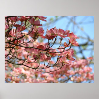 OFFICE ART Dogwood Rosa 27 Dogwood Flowers Poster