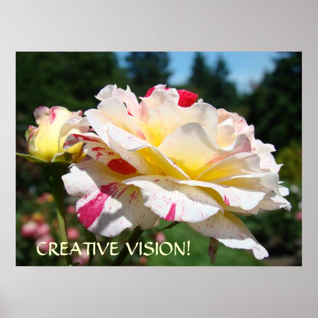 OFFICE ART GIFT Sunlit Ro KREATIV VISION Skriv ut Poster (Framsidan)