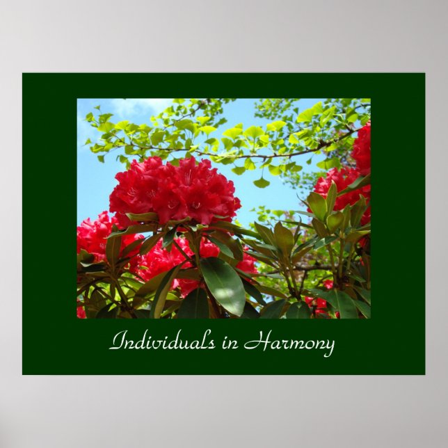 Office Business Office Artwork Red Rhododendrons Poster (Framsidan)