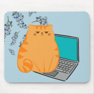 Office Cat Musmatta