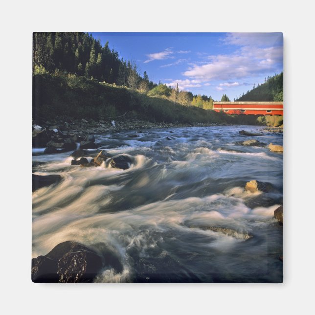 Office Covered Bridge längst i Oregon vid Magnet (Framsidan)