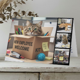 Office Fun Cats Photo Card, Birthday, Cat Kort