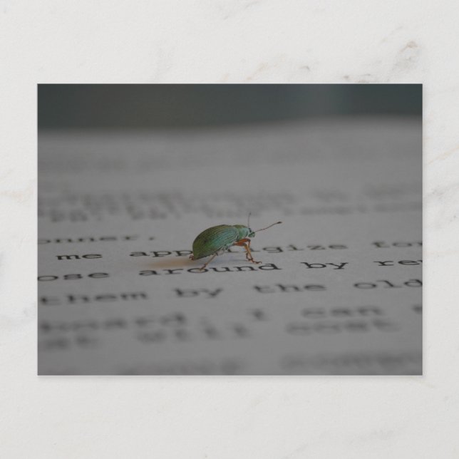 Office kryp vykort (Framsida)