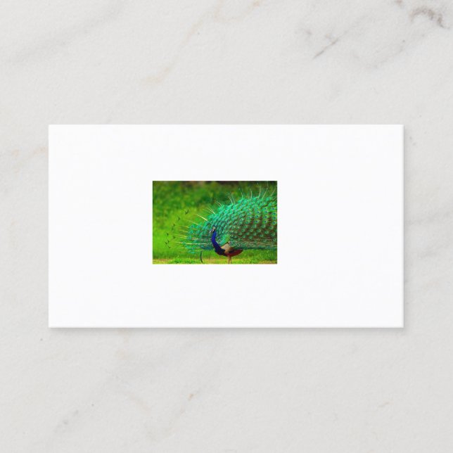 Office & School > Affärskort Visitkort (Framsida)