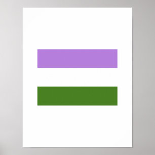 OFFICIELL GENDERQUEER PRIDE FLAGGA POSTER