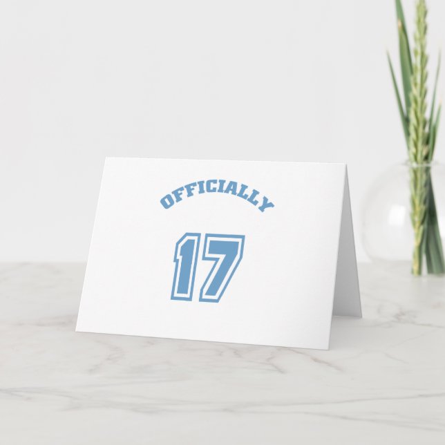 Officiellt 17 kort (Framsida)