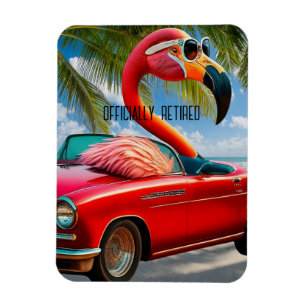 Officiellt pensionerad Flamingo och konvertibel på Magnet