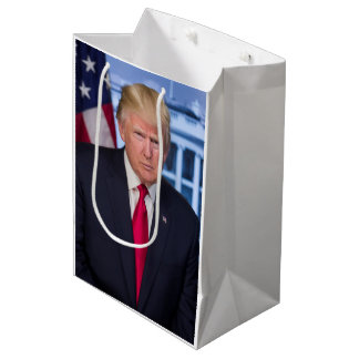 Officiellt porträtt av Donald Trump som president