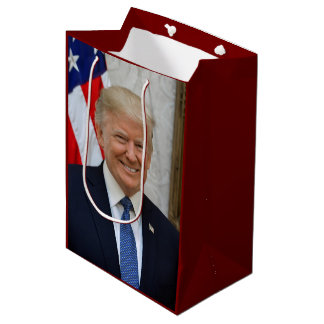 Officiellt porträtt av Donald Trump som Vita huset