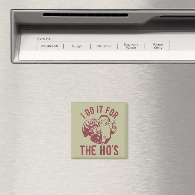 Oförskämd juligt Sankte Gesichtsuttryck Jag Gör De Magnet (In Situ (Dishwasher))