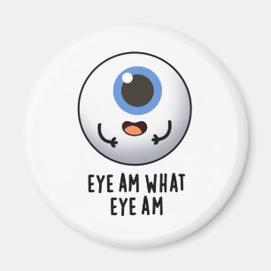 Öga är vad Öga är för Eyeball Pun Magnet