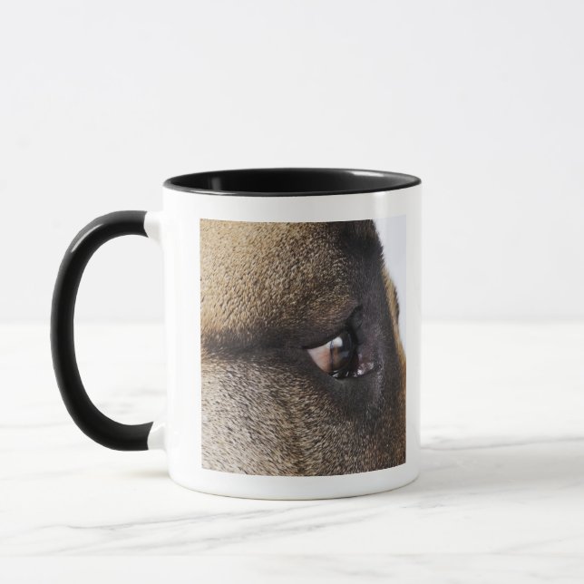 Öga av great dane mugg (Vänster)
