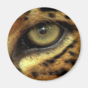 ÖGA AV JAGUARrundamagneten Magnet