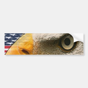 ÖGA AV ÖRNEN (USA DEN PATRIOTISKA AMERIKANEN) BILDEKAL