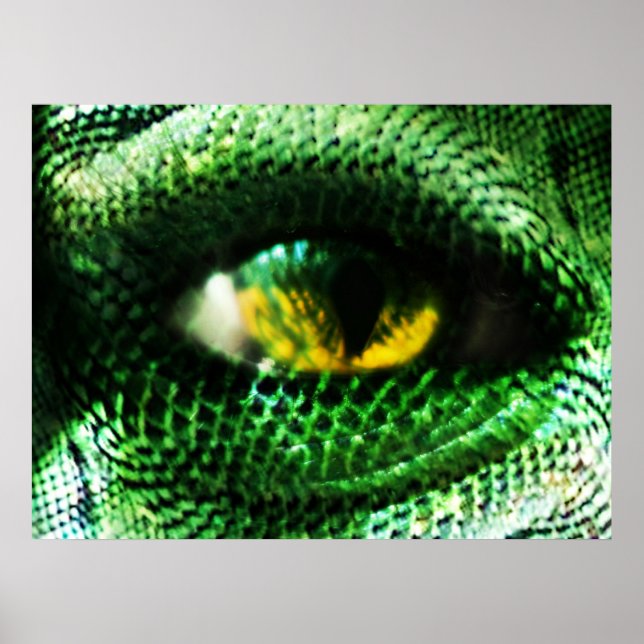 Öga av ... ? poster (Framsidan)