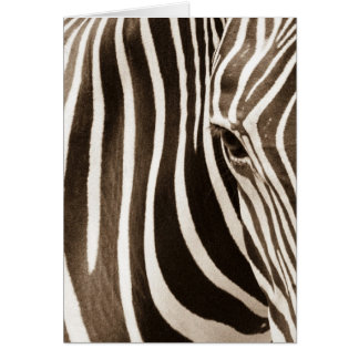 Öga av sebran hälsningskort