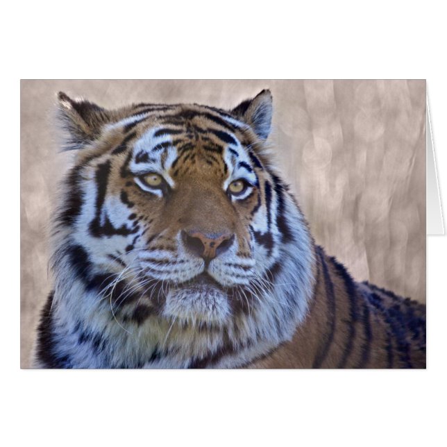 Öga av Tigerkort Hälsningskort (Framsidan Horizontal)