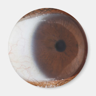 Öga Boll Magnet