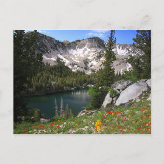 Öga Candy Postcard Vykort