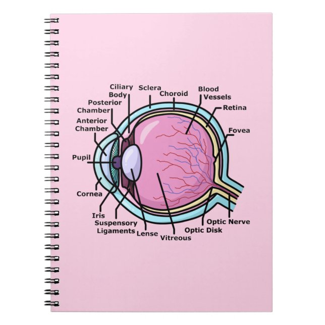 Öga-diagram Anteckningsbok (Framsidan)