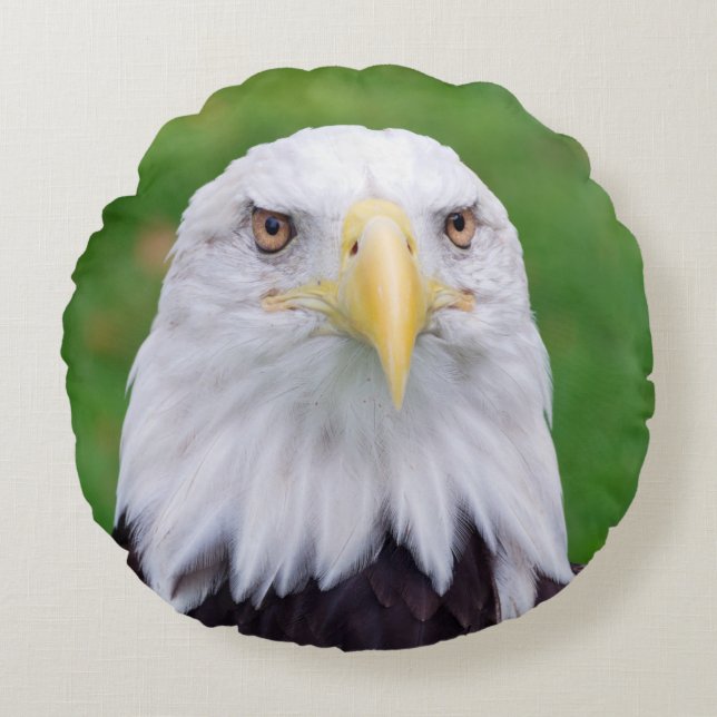 Öga i en Eagle Rund Kudde (Framsidan)
