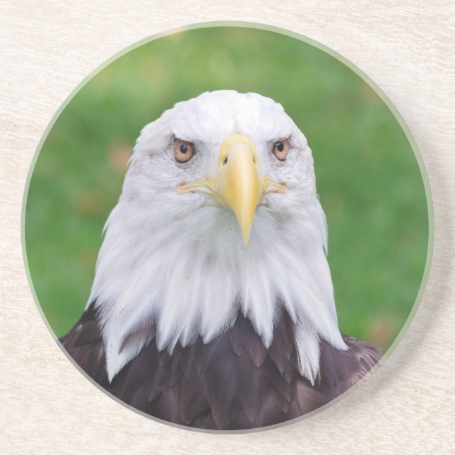 Öga i en Eagle Underlägg Sandsten (Framsidan)