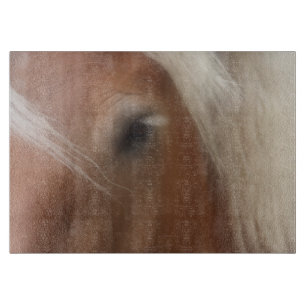 Öga i ett belgiskt utkast till häst